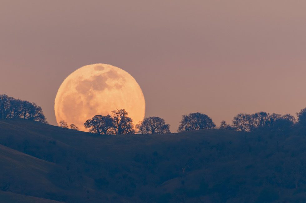 A bright full moon rising against a dark sky, symbolizing mystery and power associated with lunar rituals.